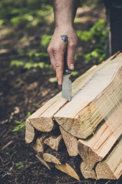 Gerber Asada Folder Onyx