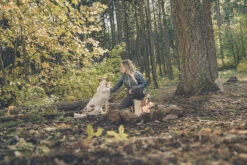 Gerber Ayako Folding Pocket Silver -Gerber Verkaufsladen gerber ayako folding pocket silver 554649 4